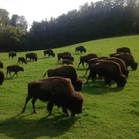 L'etoile De Ferienhaus