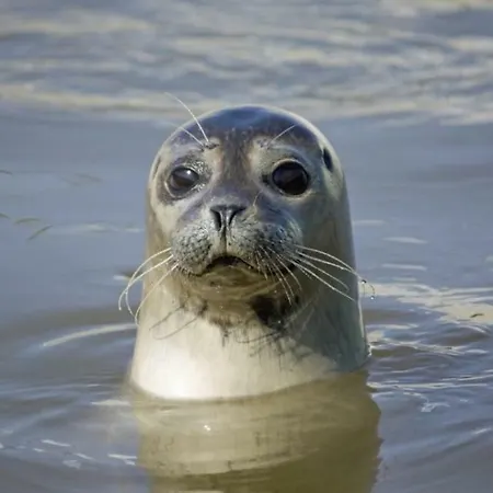 L'etoile De Hébergement de vacances