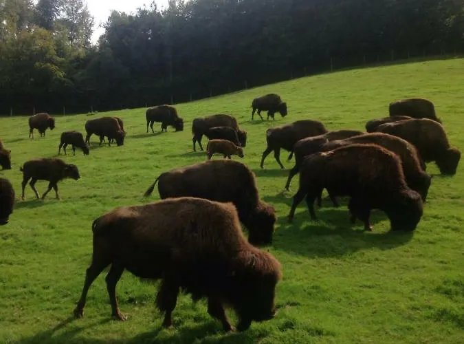 L'etoile De Holiday home